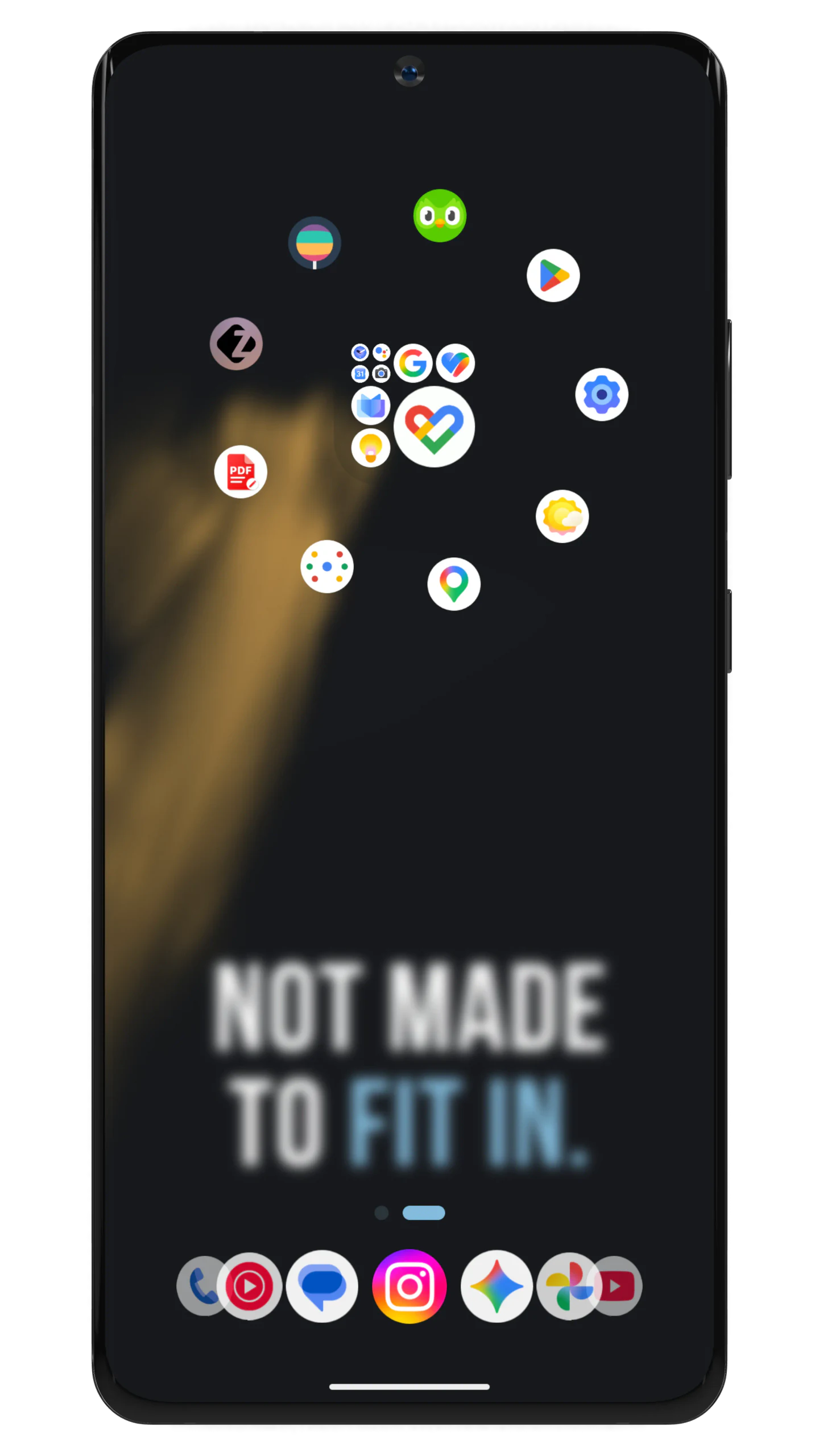 Home screen customized with ReversePanda